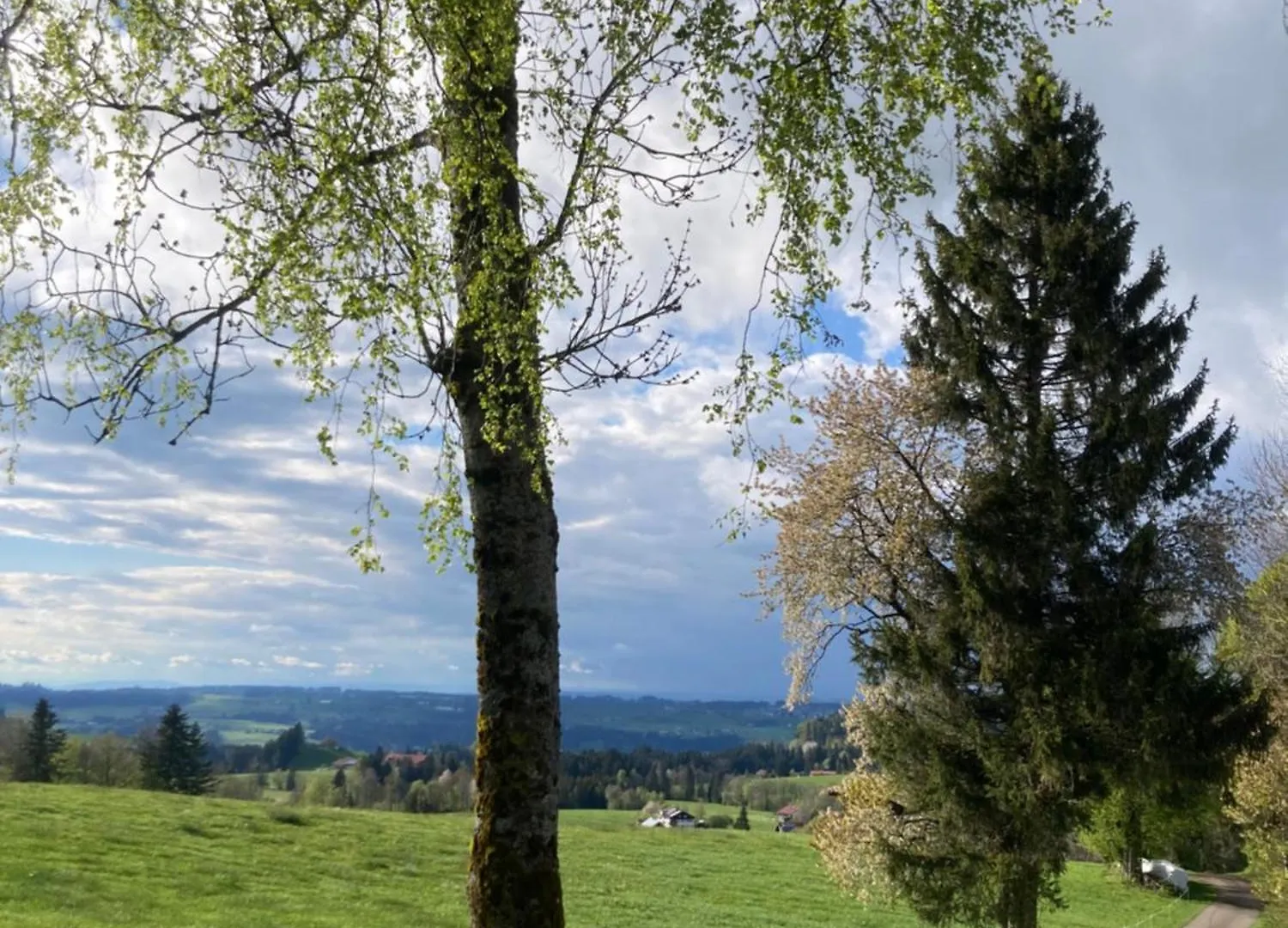 Ferienwohnung Hirsch Im Allgaeu أوبيريويتي
